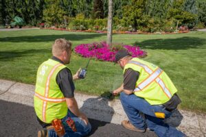Irrigation maintenance service in Vancouver, WA