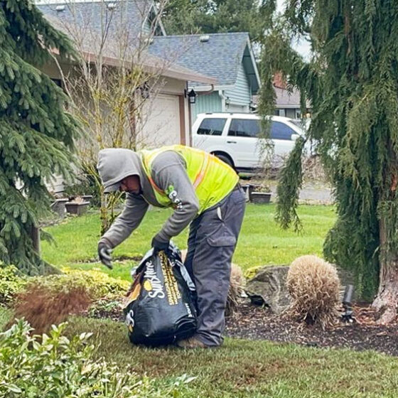 Yard Fertilizer insecticide installation service in Vancouver, WA