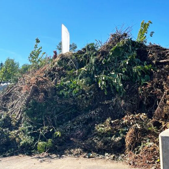 Plant Debris Recycling pile in Vancouver, WA