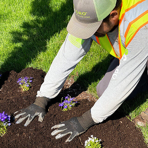 Garden bed management service in Vancouver, WA