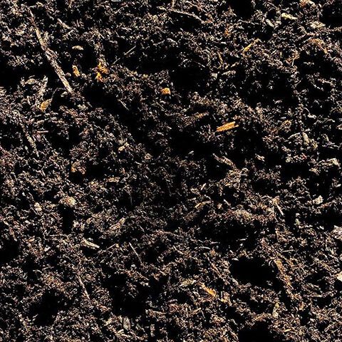 Dark Fir Mulch macro shot photography in Vancouver WA