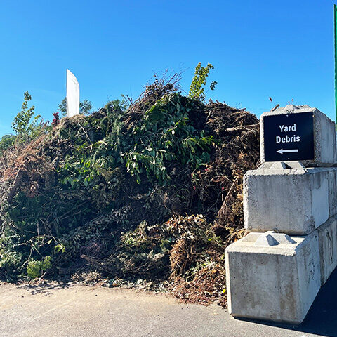 Yard Debris Removal recycle pile