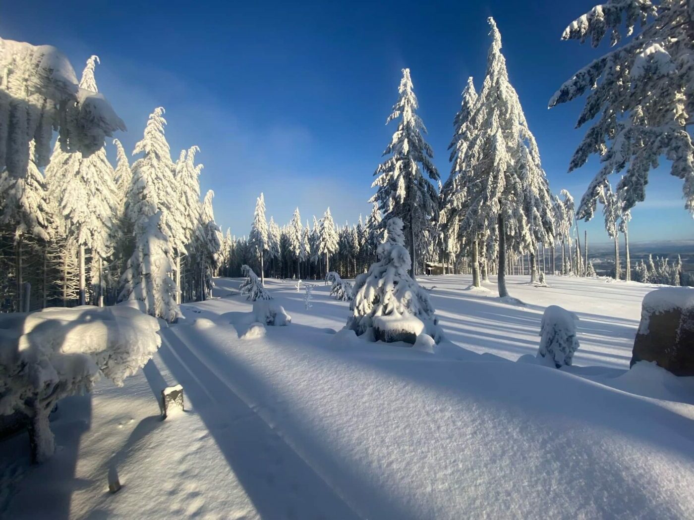 Snow Preparation and Removal in Vancouver WA GRO Landscaping