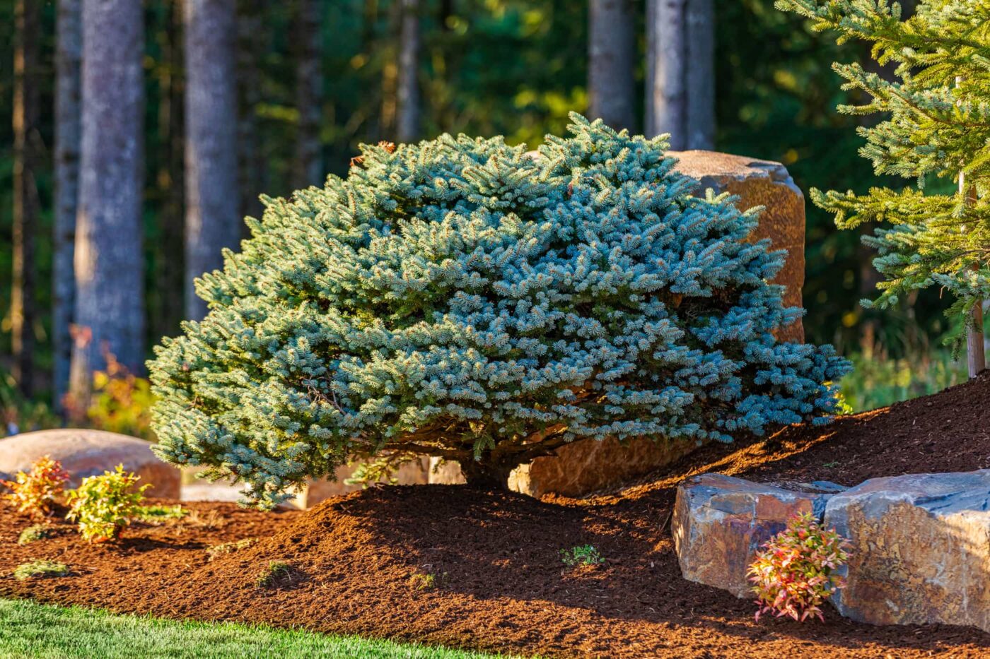 Bark and Mulch Installation in Vancouver, WA - GRO - Landscaping &  Remodeling