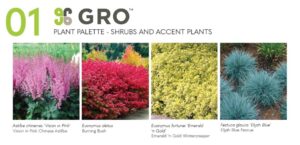 Plant Color Palette GRO for Landscaping in Vancouver, WA