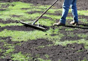 Topdressing Lawn in Camas, WA