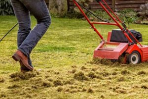 Dethatching lawn service in Vancouver, WA
